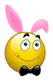 :plavojka: